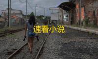 速看小说